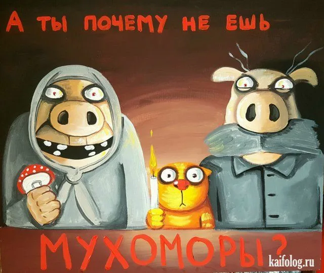 Я просто не хочу есть мухоморы