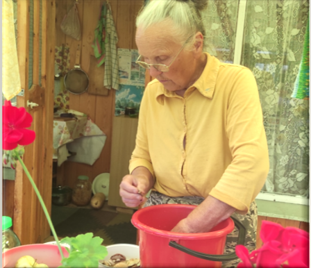 Заготовка грибов, сорванных на собственном участке