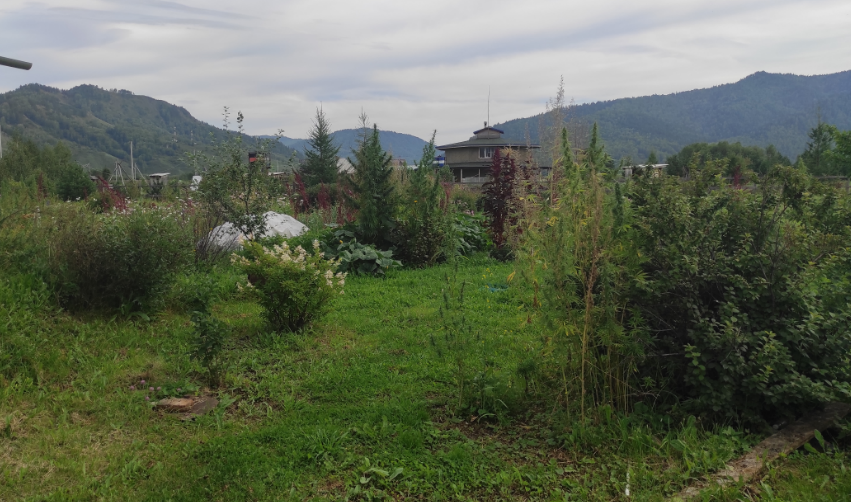 В такой красоте живут обитатели родовых поместий Хакасии