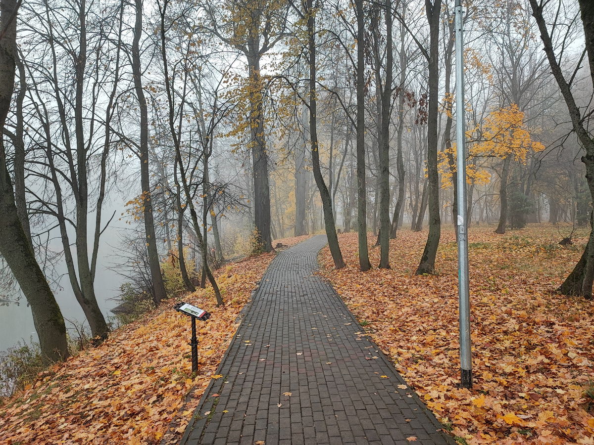 Белкинский парк в Обнинске