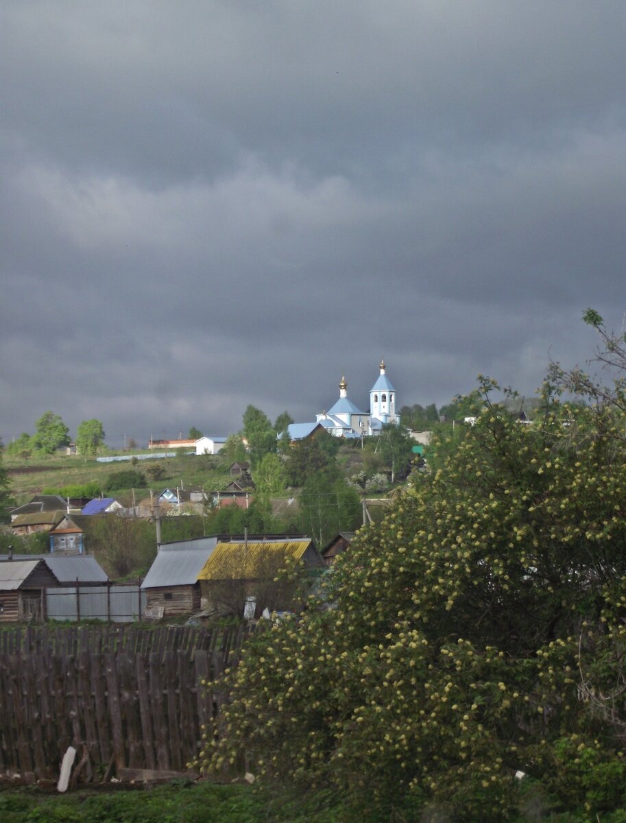 фото автора, вид из окна летом