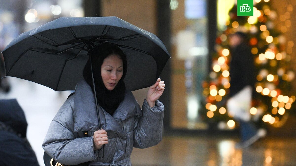    Фото: РИА Новости © 2024, Максим Блинов