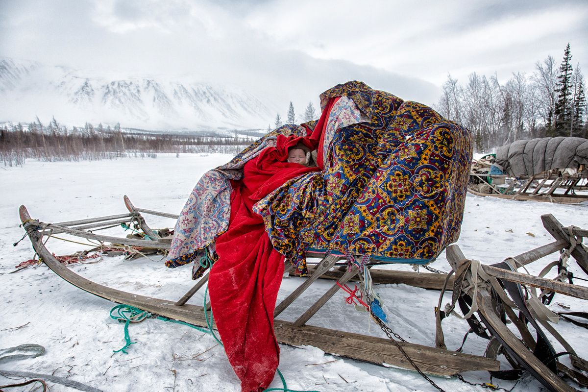 Фото: Shchipkova Elena/Shutterstock/Fotodom