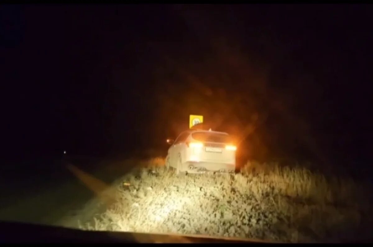    Пес, чей хозяин попал в реанимацию, 5 дней оставался в авто под Волгоградом