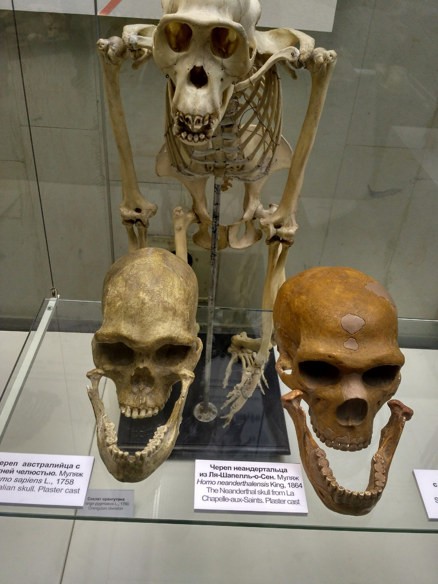 Когда слишко долго ждал подходящую вакансию