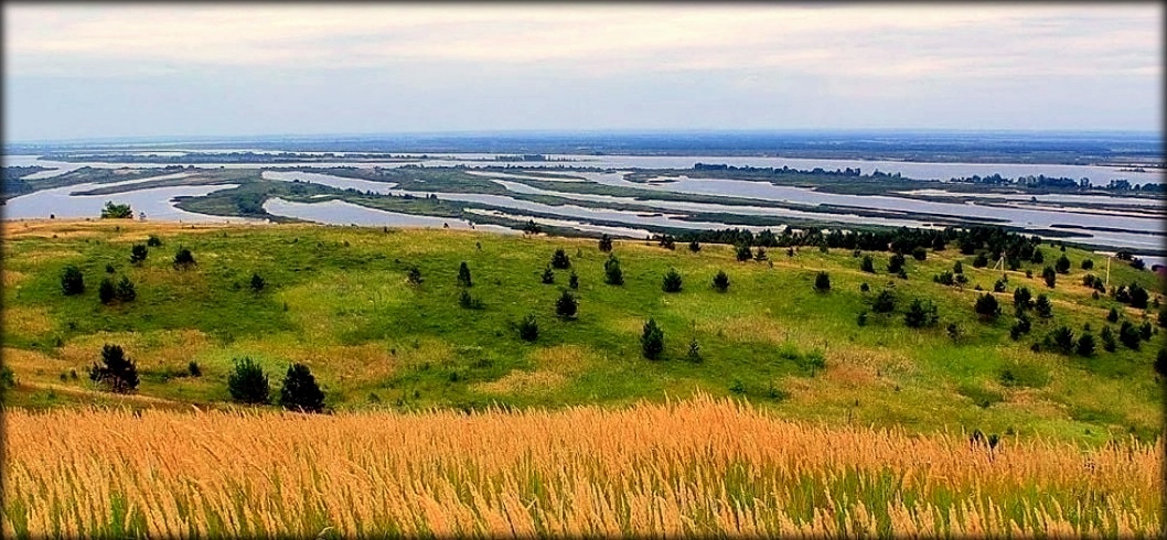 Из открытых источников.