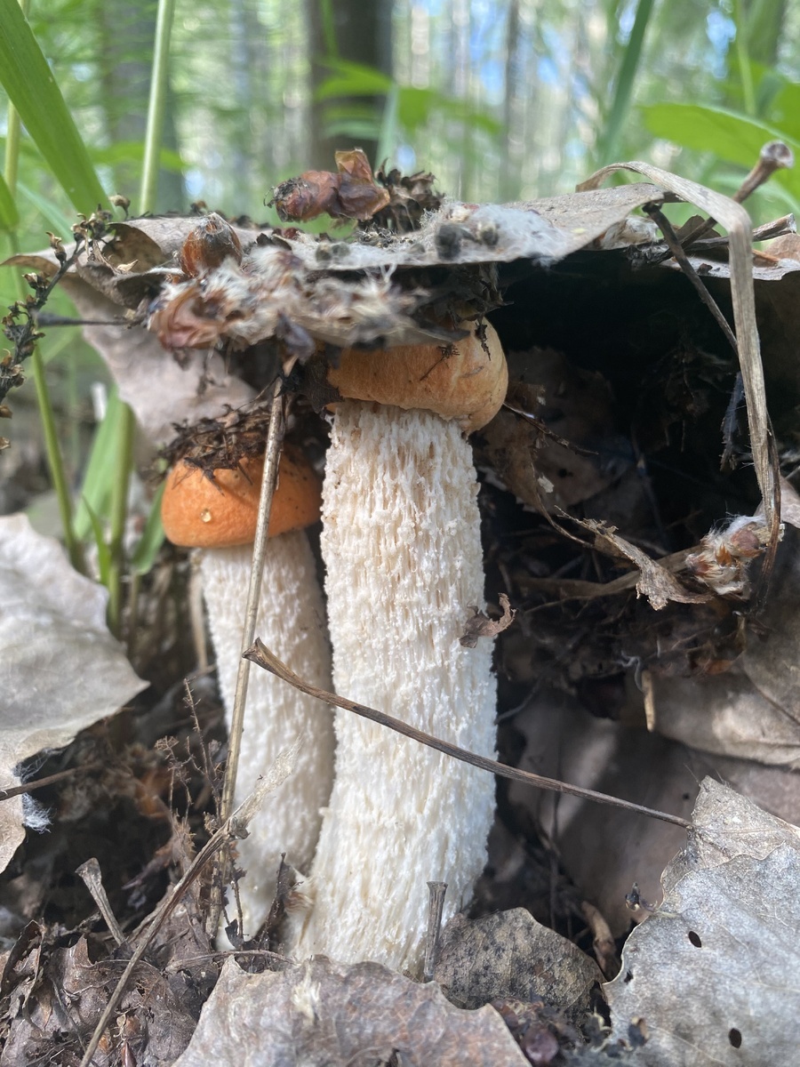 Автор фото Галина Ш.