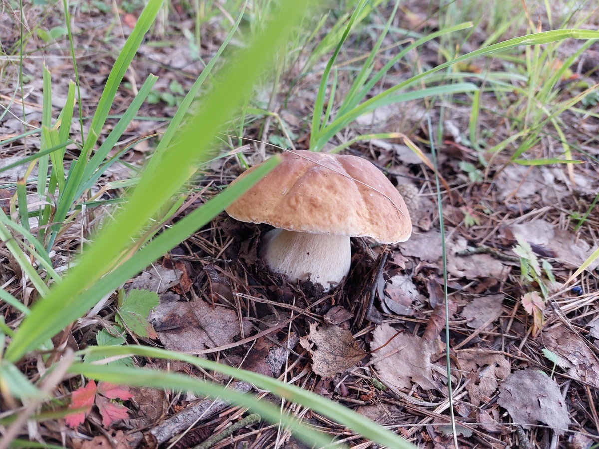 Автор фото Ирина Шв.