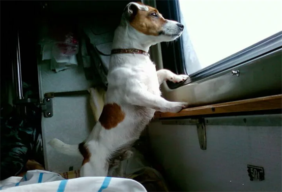 Изображение с ресурса ulpravda.ru