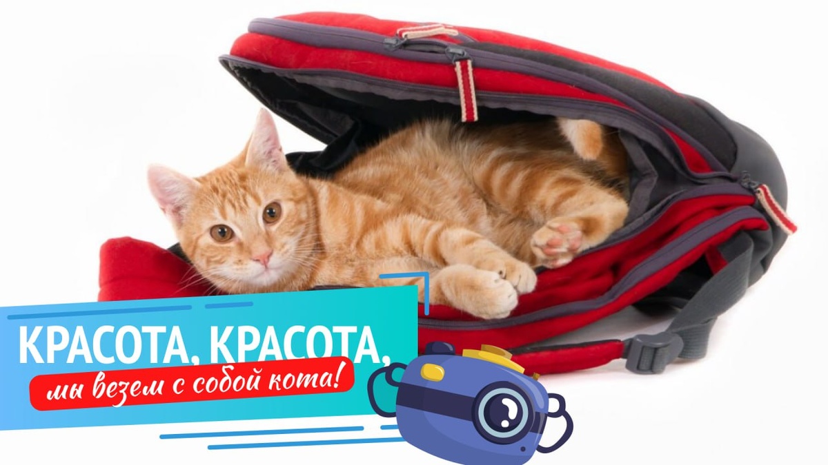 Изображение с ресурса Freepik