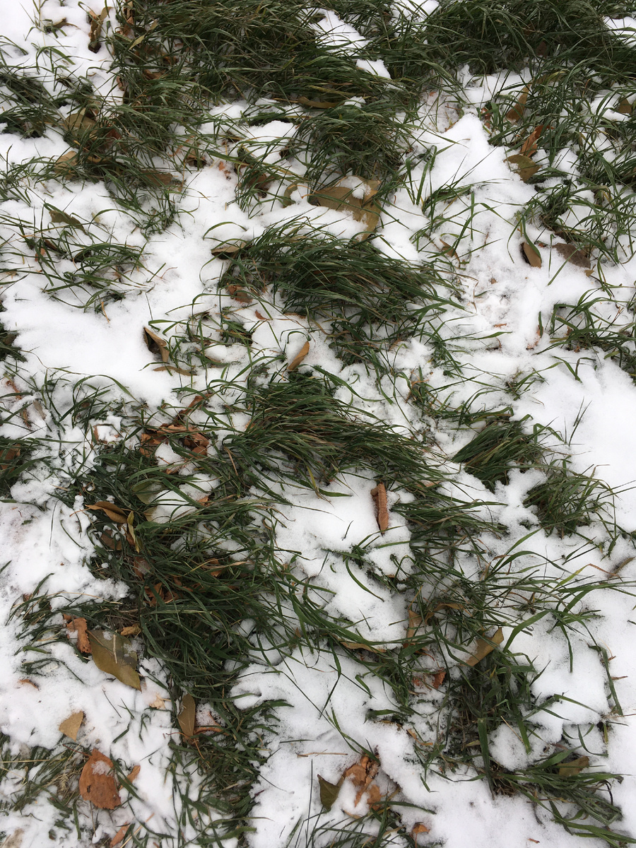 Наконец-то начался снег!