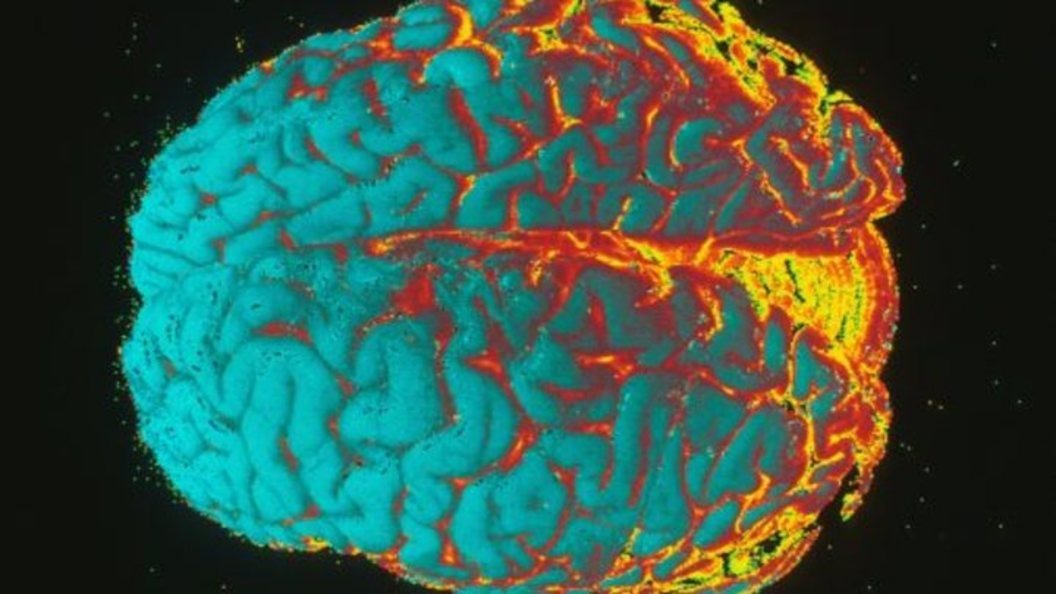    ФОТО: GLOBALLOOKPRESS