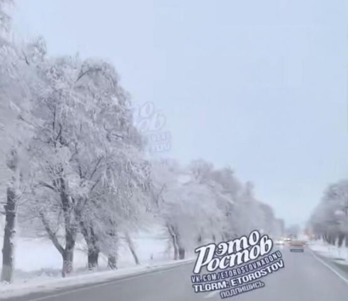 Источник фото: "Это Ростов"vk.com