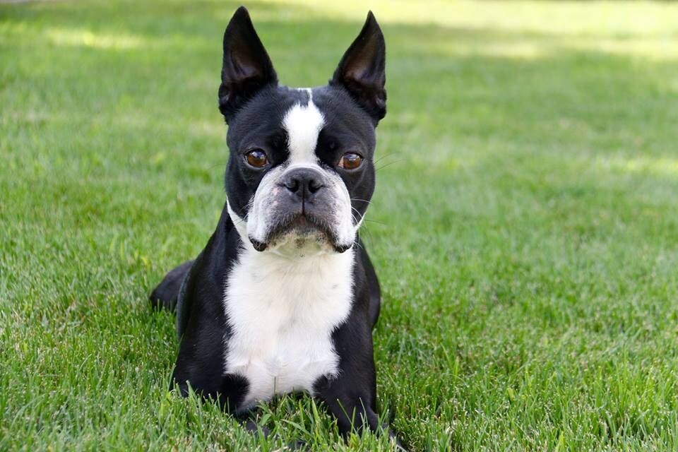 источник фото: https://i.pinimg.com/originals/14/e5/e8/14e5e8710ea229cb88c9bfc79b0e4033.jpg