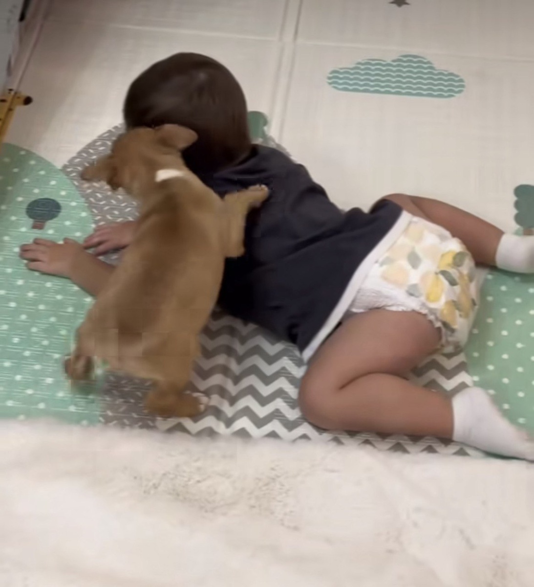 Фото: Instagram* (запрещён на территории РФ)/@zepyur_brutyan