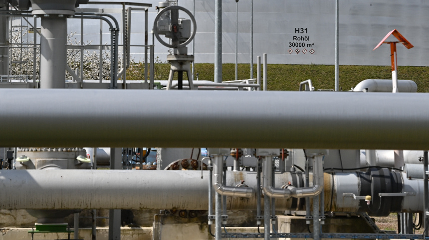    Фото: Patrick Pleul/ТАСС