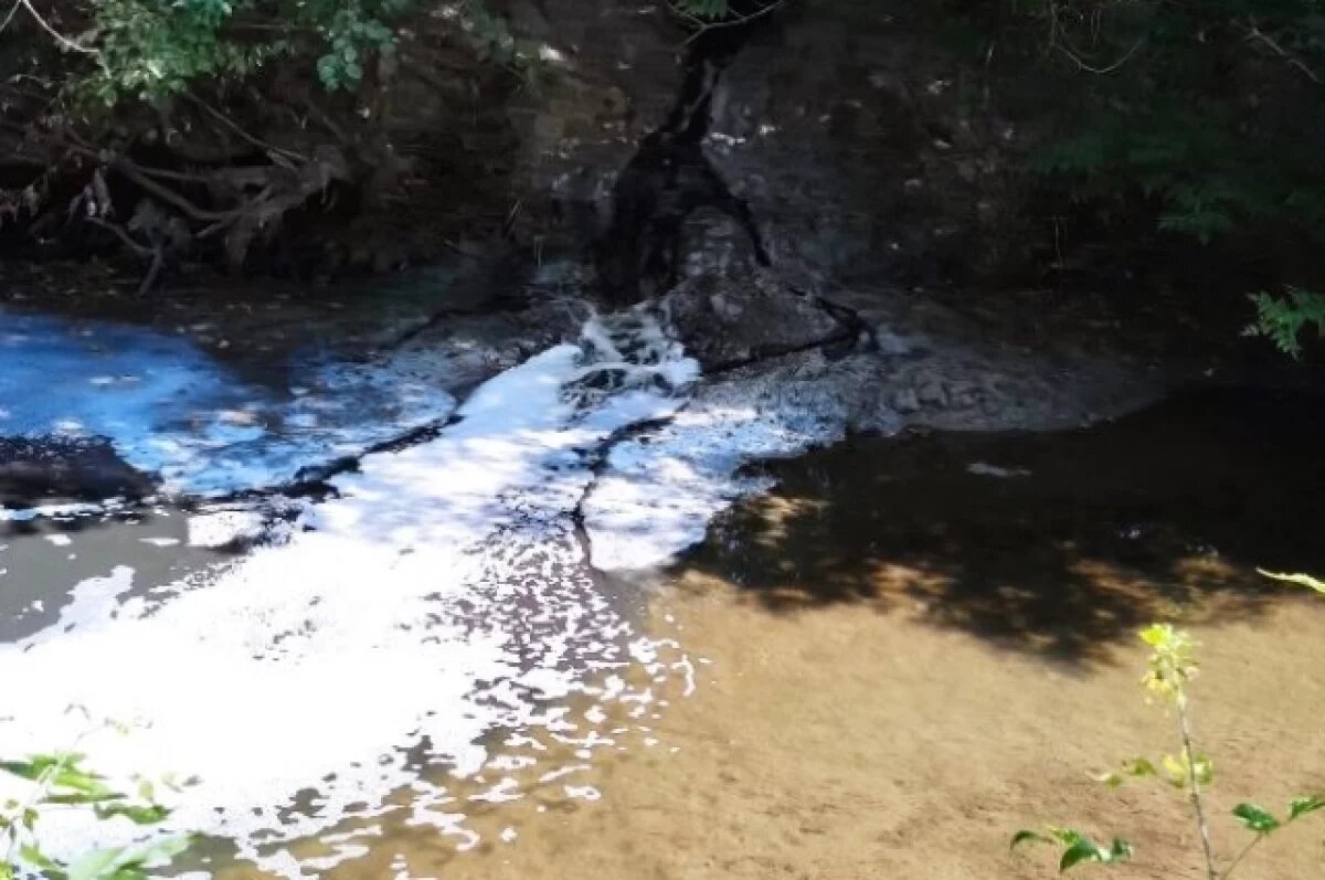    Хочется надеяться, что в скором времени жители республики в полной мере ощутят на себе позитивные изменения, которые происходят в экологии Чувашии.