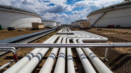    В Чехию прекратила поступать нефть по трубопроводу "Дружба" Татьяна Сидорова