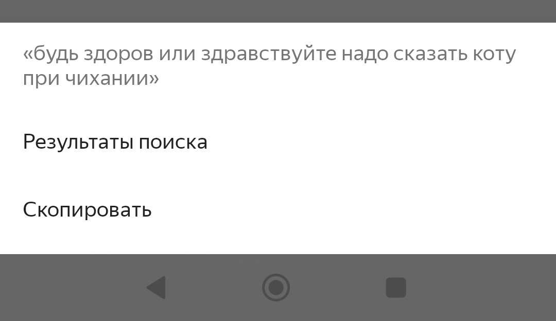 Что сказать коту при чихании