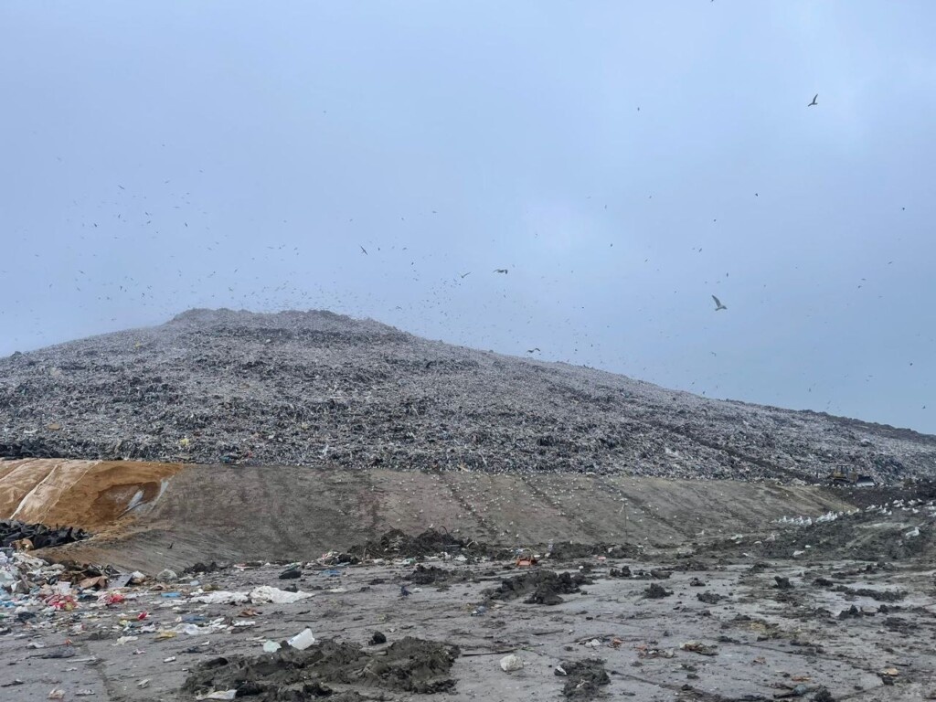 Фото: telegram.org / Прокуратура Ленинградской области