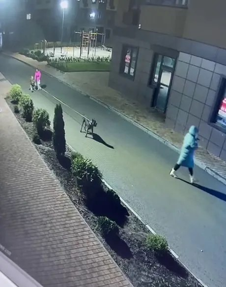 Обложка © кадр видео