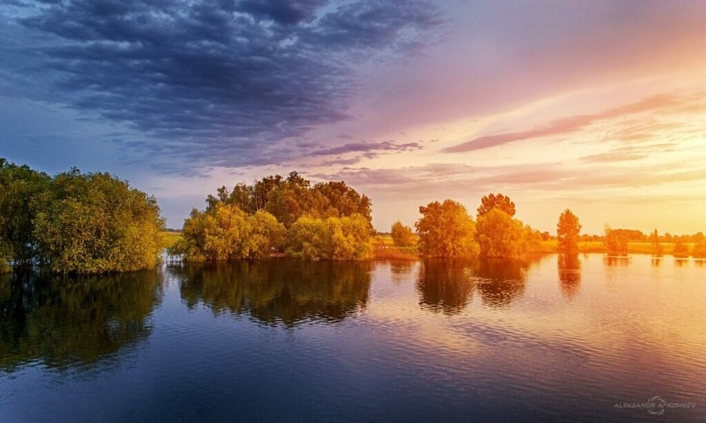 Пойма в весенний разлив