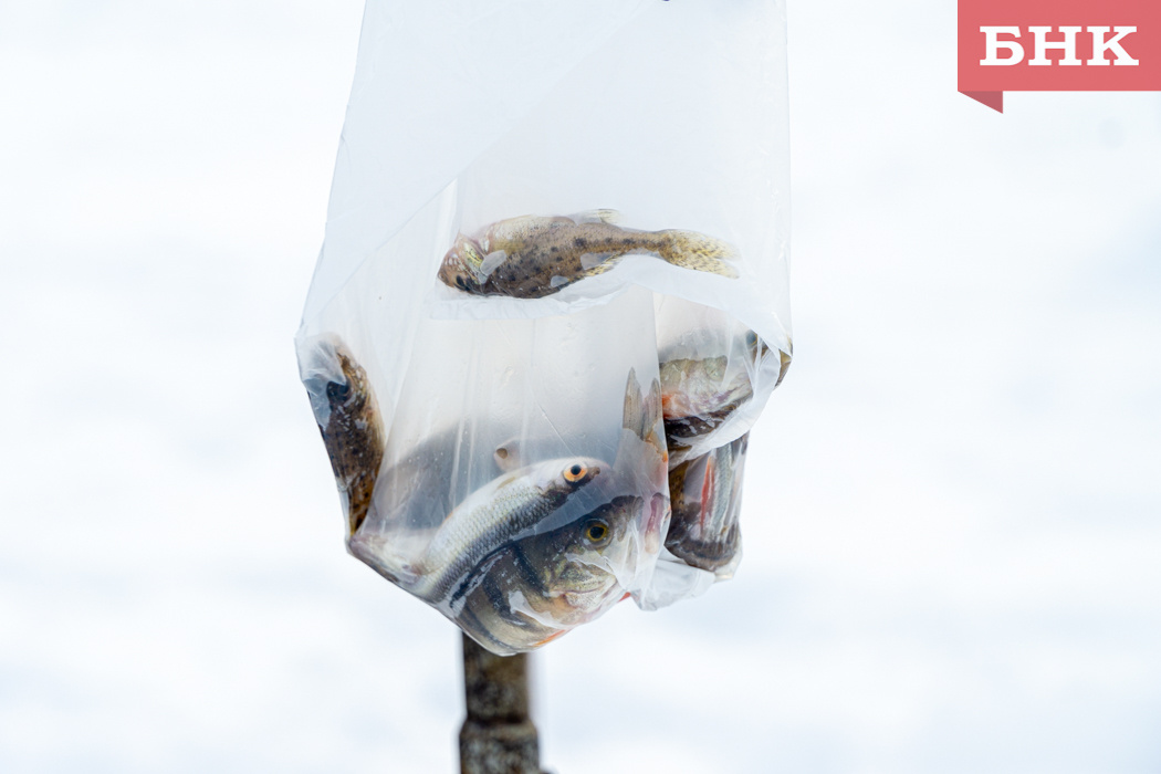 Фото Константина Стратиенко