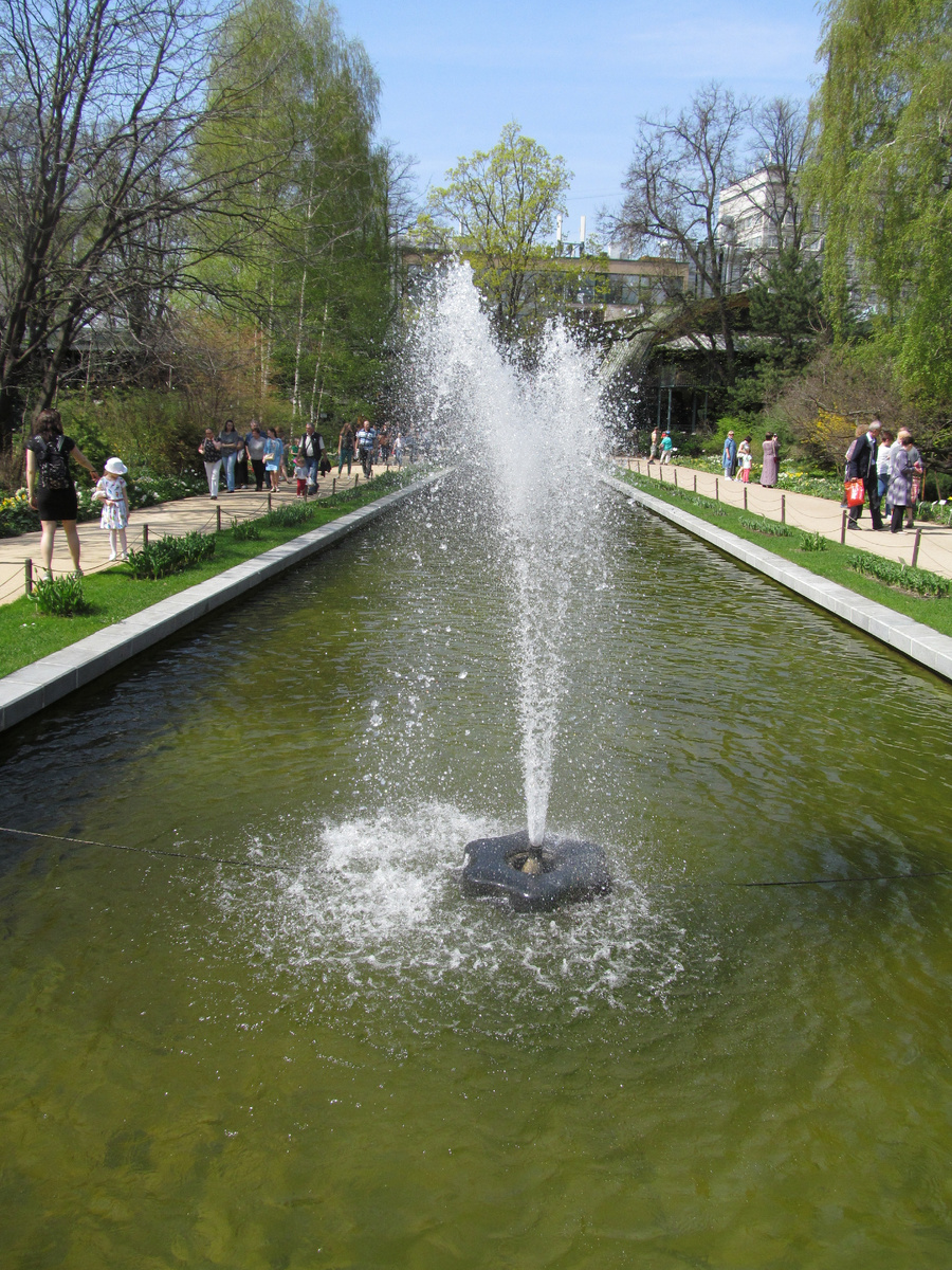 Фонтан при входе. А в нем рыбки плавают, большие, красные.