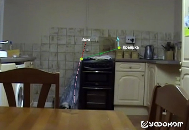 Рис 2. Траектории полета зонта и крышки