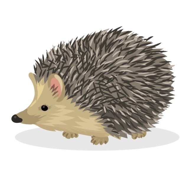 БЛАГОСЛОВИТЕ ЖЕНЩИНУ - женский журнал