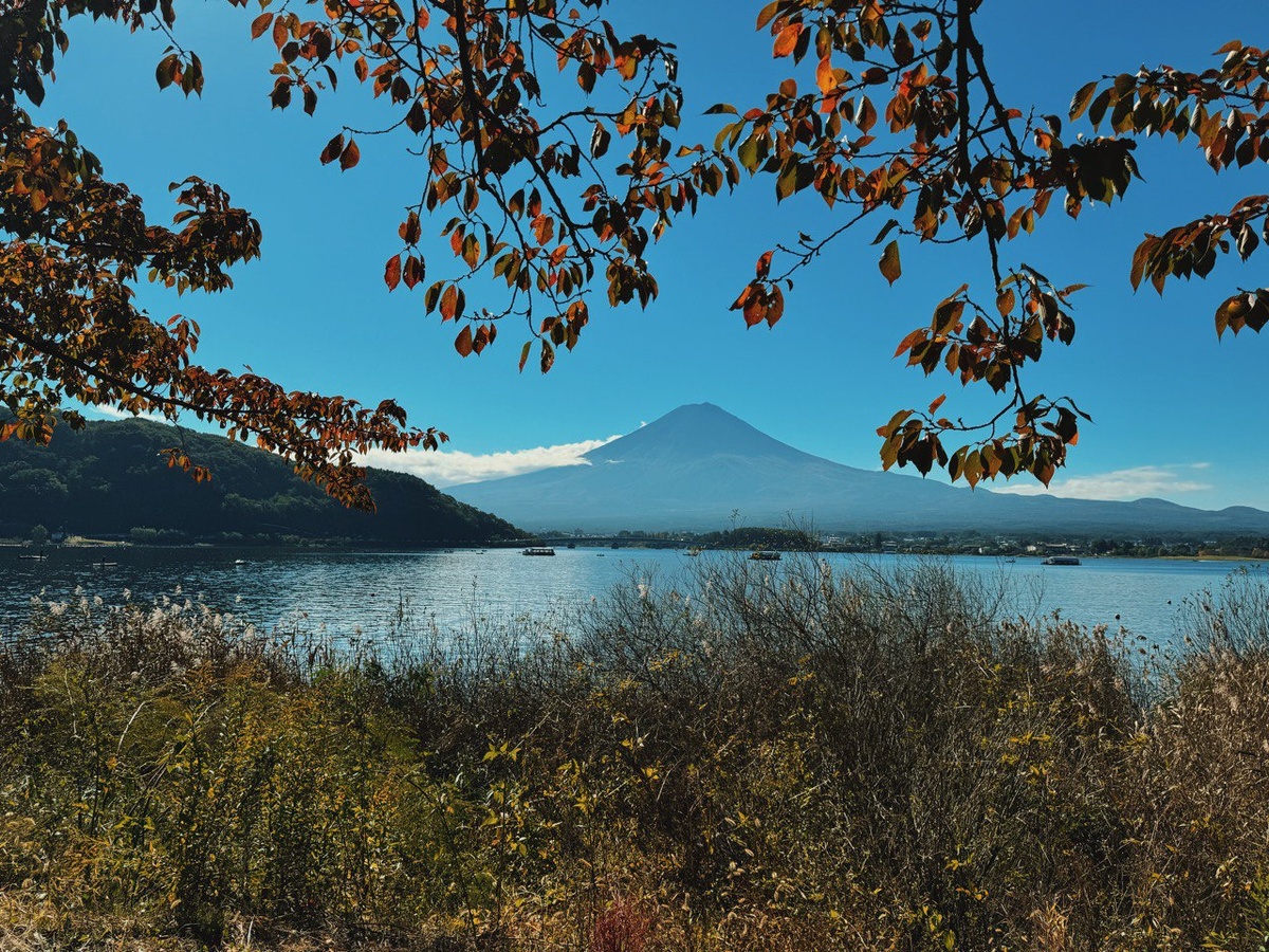 вид на Фудзи. Япония. автор фото Торшина Анастасия 