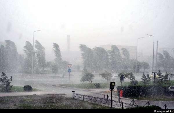 Фото из доступных интернет-источников.