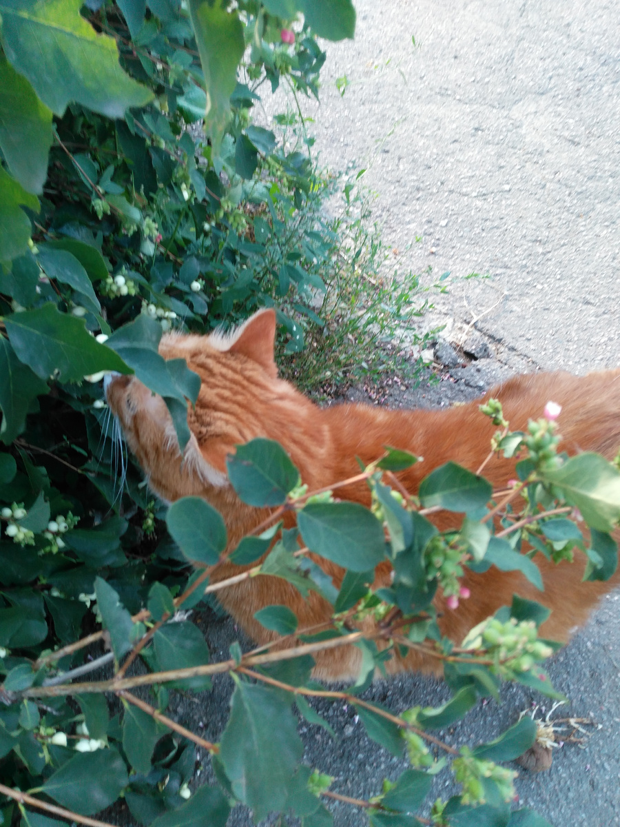 Фото из архива автора.