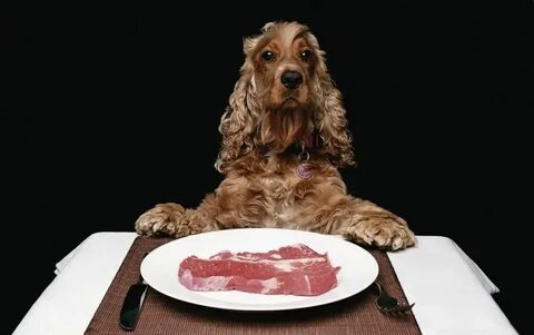 Фото для иллюстрации статьи из свободных источников 