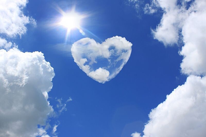 фото из интернета