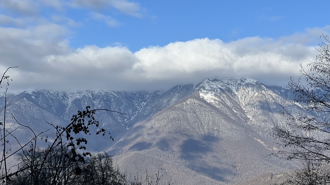    Фото: Царьград