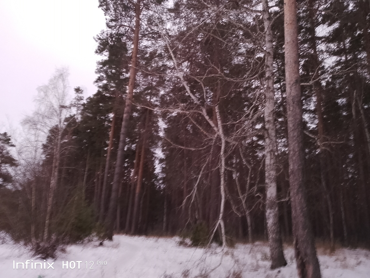 парк, 3 декабря