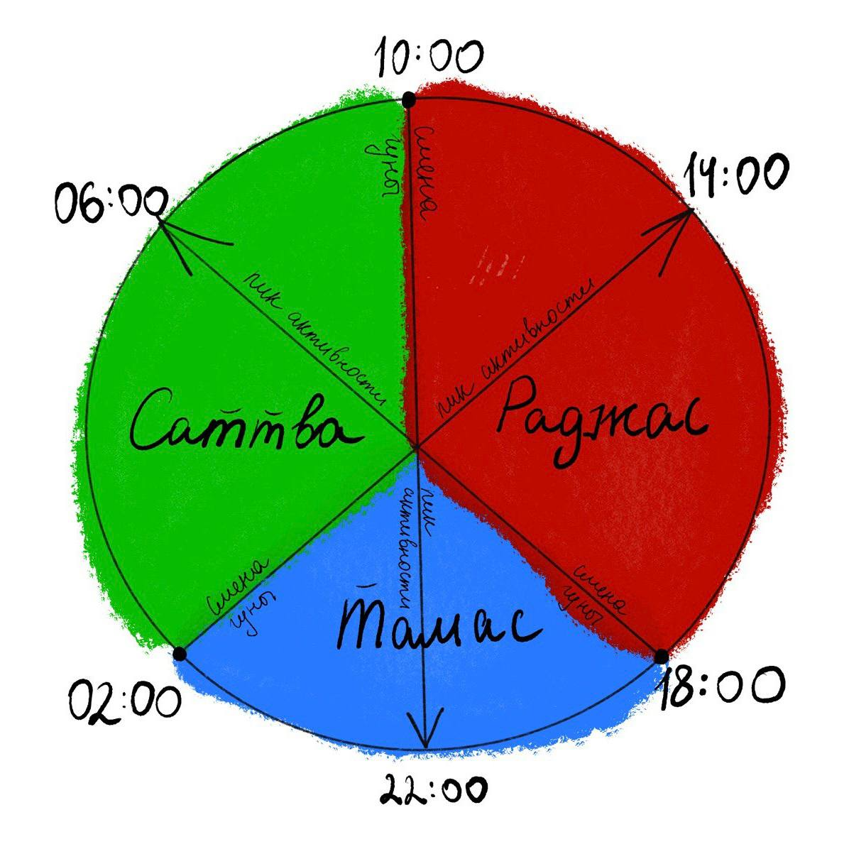 Схематичное изображение влияния гун в течение дня. Картинка авторская:)
