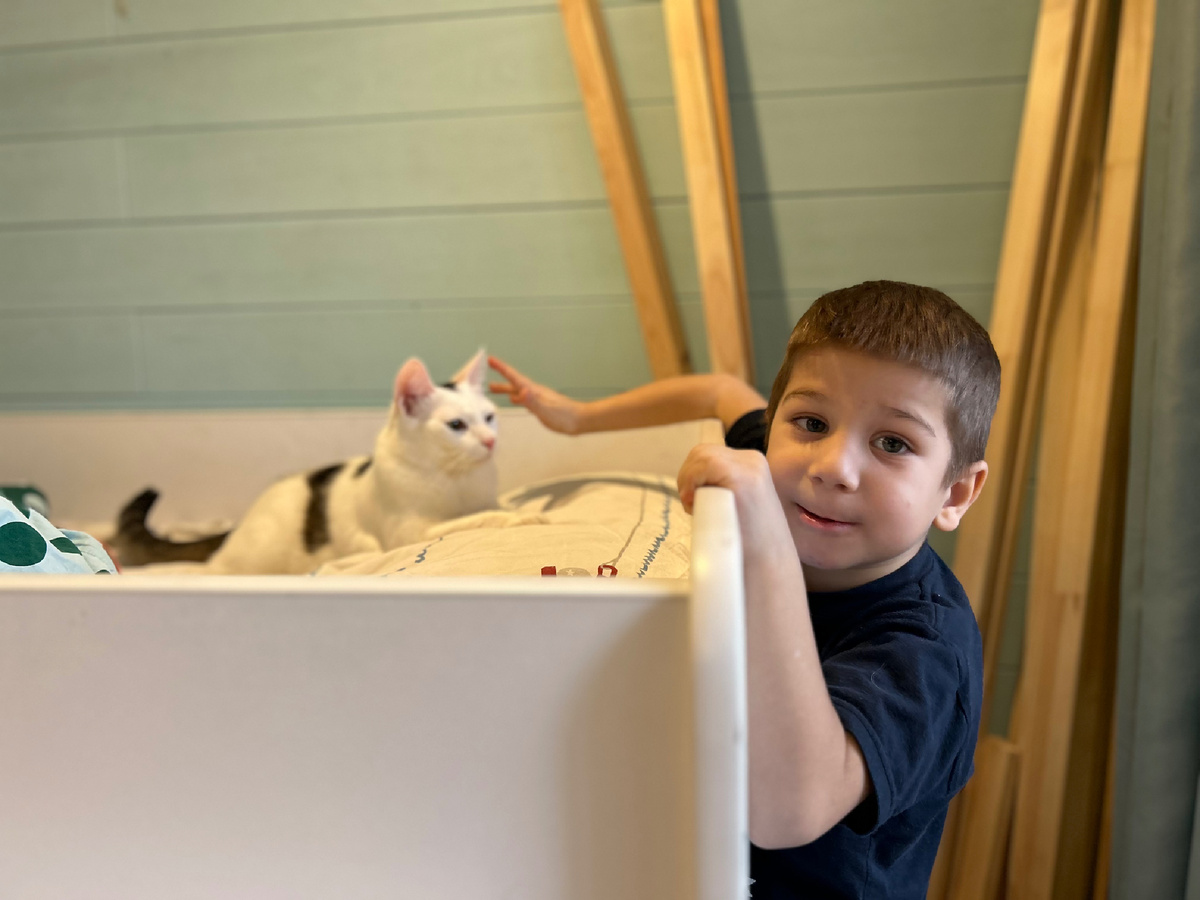 Нашел котика на кровати старшего брата. Доски в углу потому что продолжается реконструкция шкафа в детской 