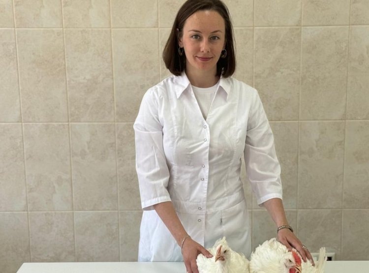    Линейку кормовых добавок для коррекции метаболизма домашней птицы создали ученые СтГАУ