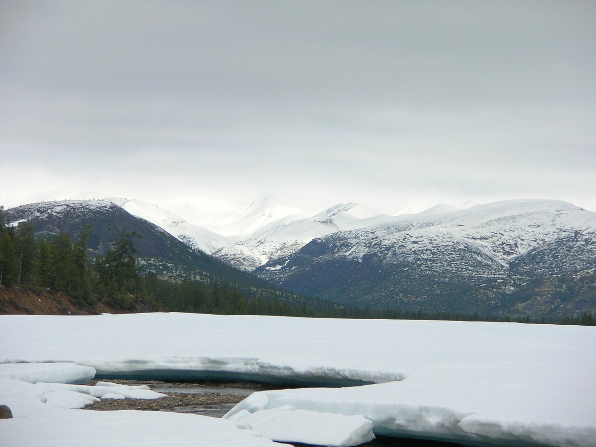 Полуостров Тайгонос отделён от Колымского нагорья прогибом суши, который начинается к востоку от устья реки Наяхан. Фото: Алексей / Яндекс Карты
