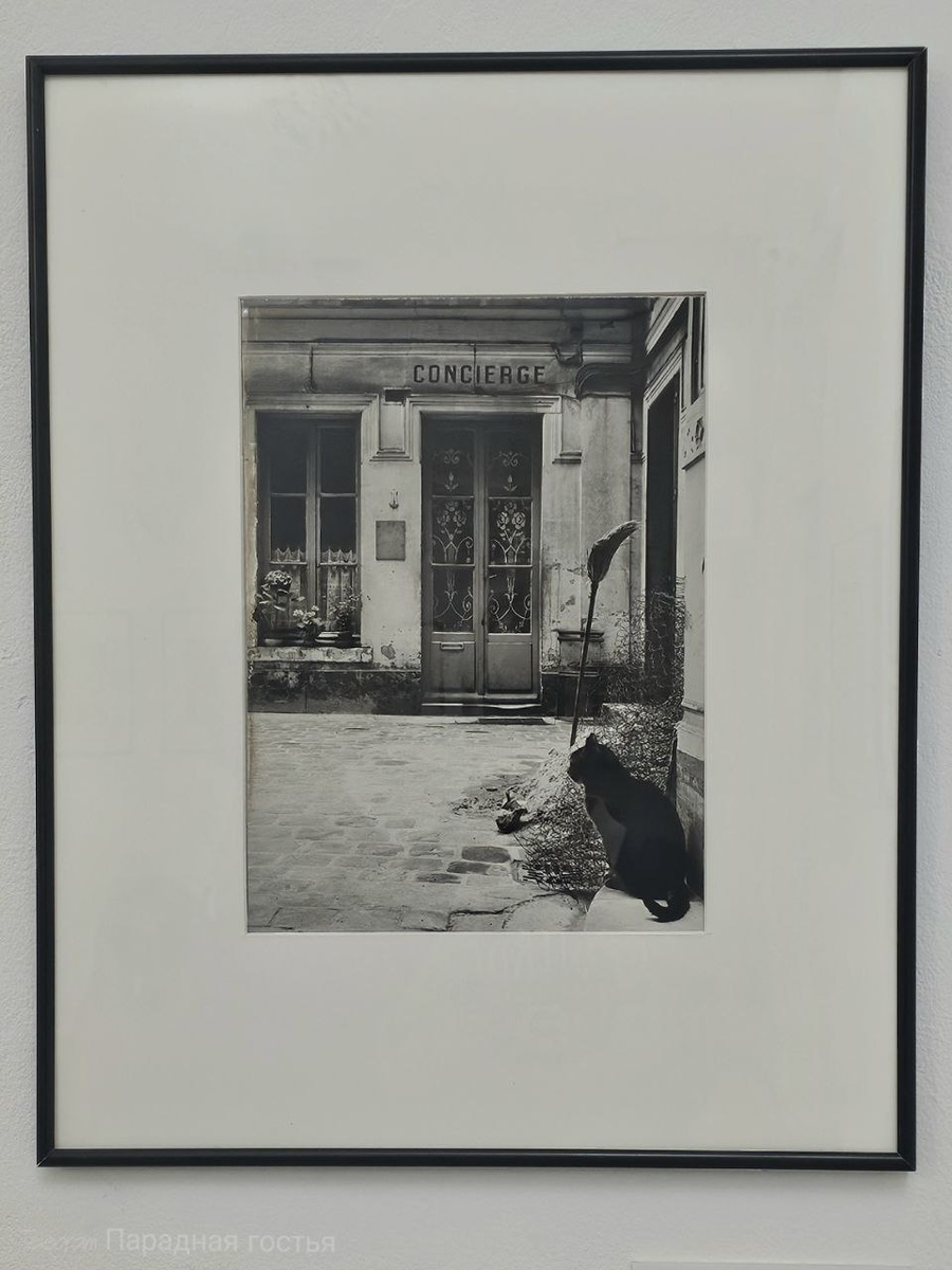 Консьерж / Жанин Hьeнc