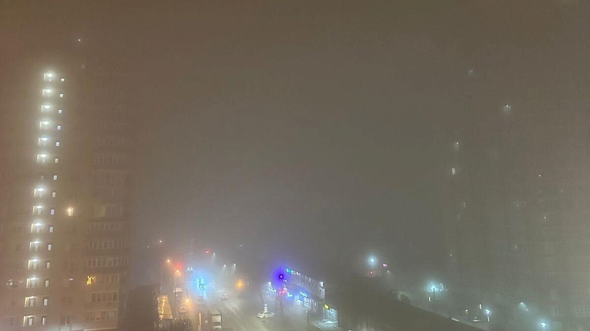    Фото: телеканал «Краснодар»