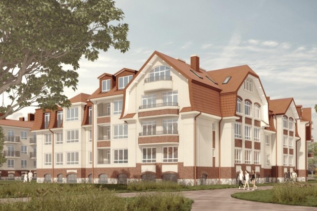   Изображения из презентации проекта