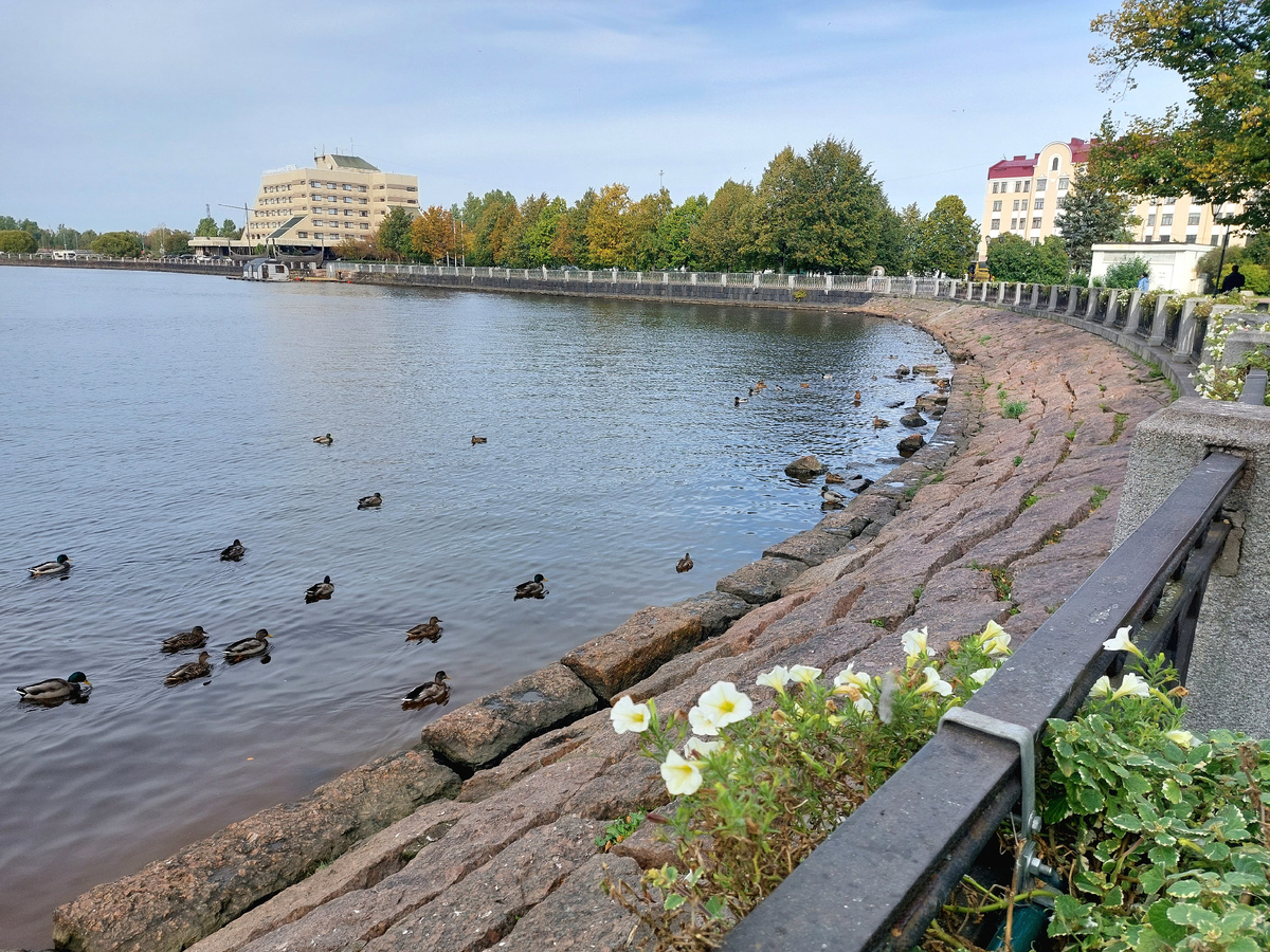 Фото автора Выборг