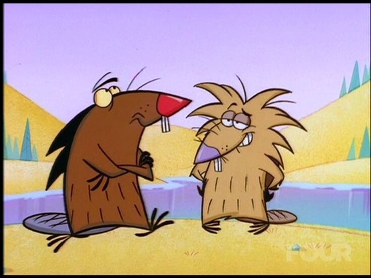 Фото из доступного места интернета 