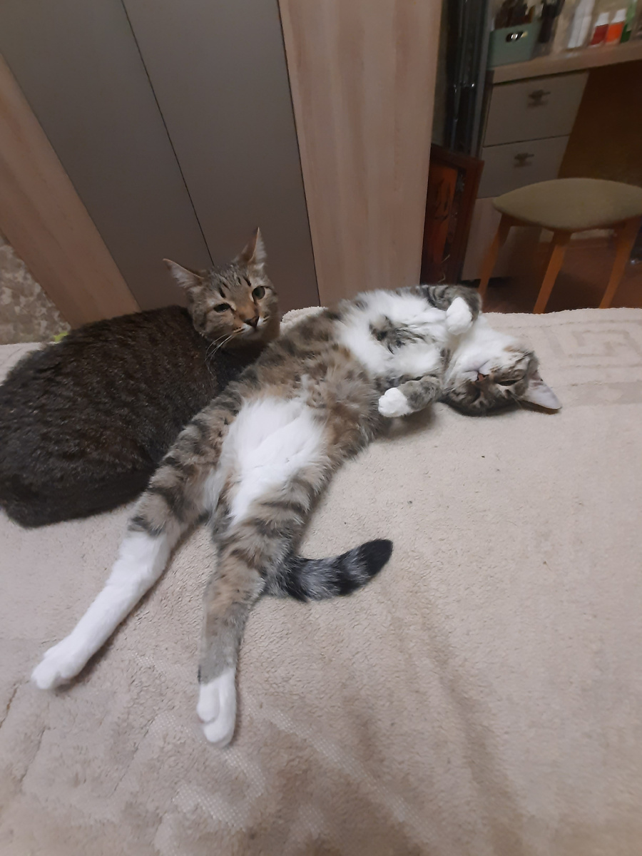 Никас и Ася