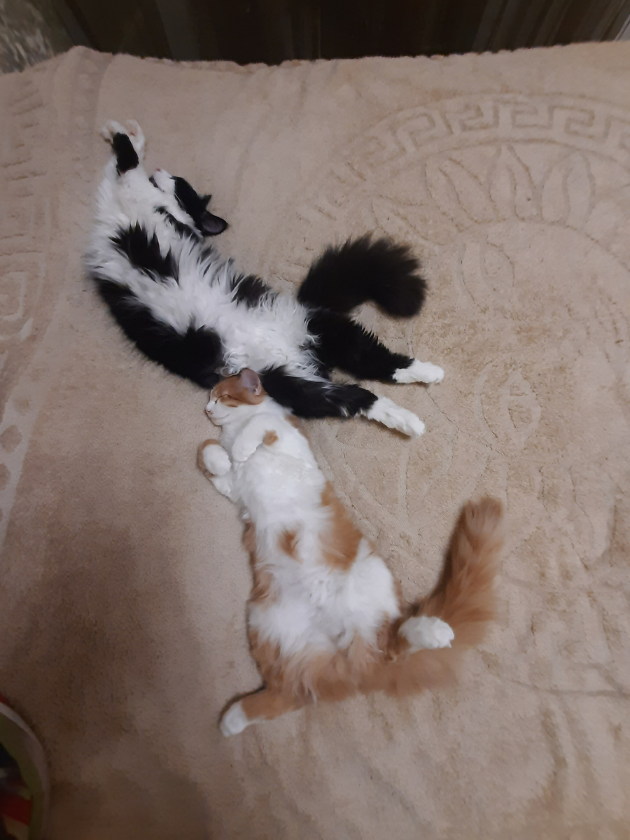 Руфина и Яша.