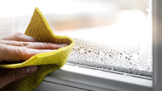    Как избавиться от надоевшего конденсата на окнах: пять простых лайфхаков Виктория Шварц