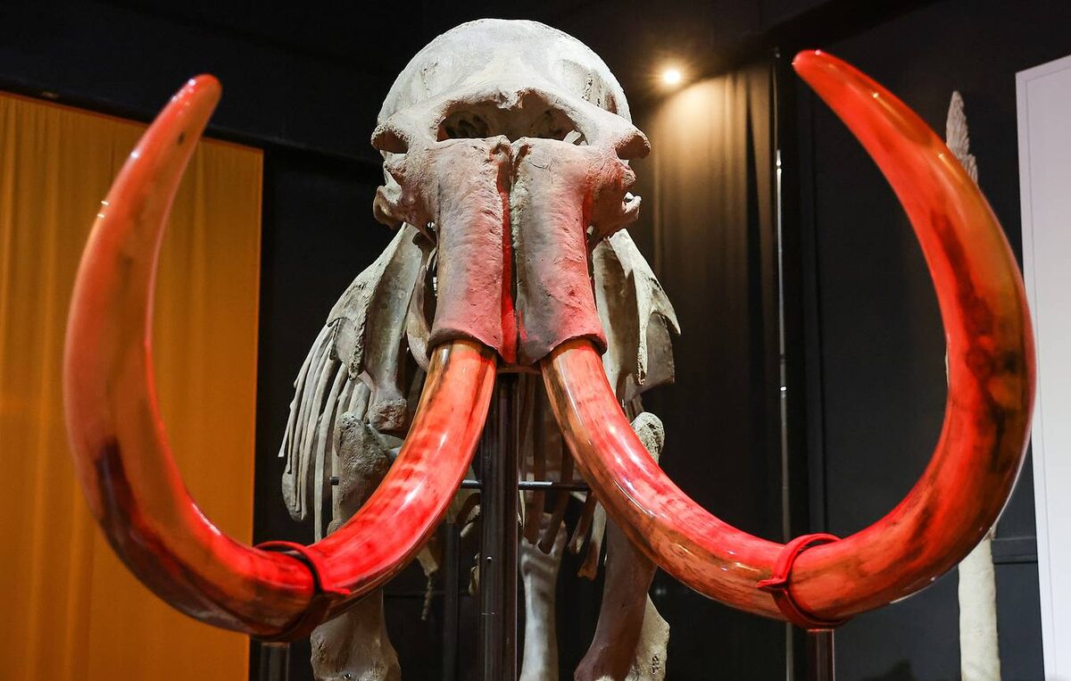 © Донат Сорокин/ТАСС
